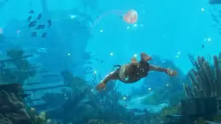 Guia Completo: O Que Fazer Após AC Black Flag Resynced