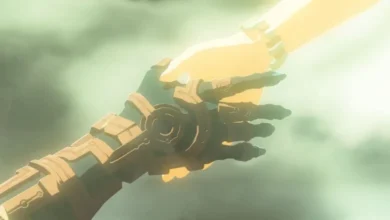 The legend of zelda tears of the kingdom link hand hold 781x439 1