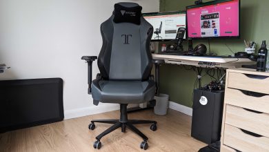 Secretlab Titan 2020 Ash review