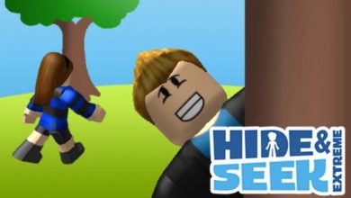 Roblox Hide and Seek Extreme Song ID Codes