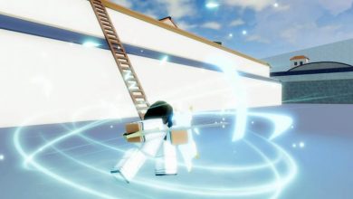 The latest Type Soul update wants you to forgo Hakuda weapons