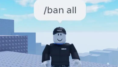 The ban all command in Roblox Admin RNG.