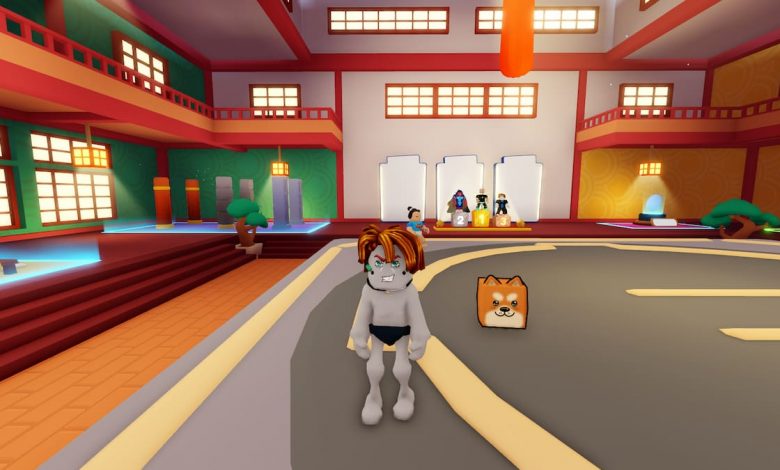 Picture of a player standing in the Roblox