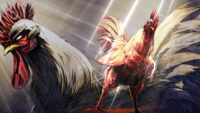 Rooster Fighter – Mangá sobre Galo Herói tem anuncio de anime com trailer