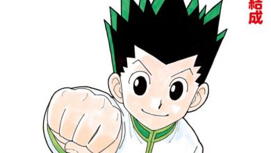 Hunter x Hunter – Mangá voltará a ser publicado em outubro