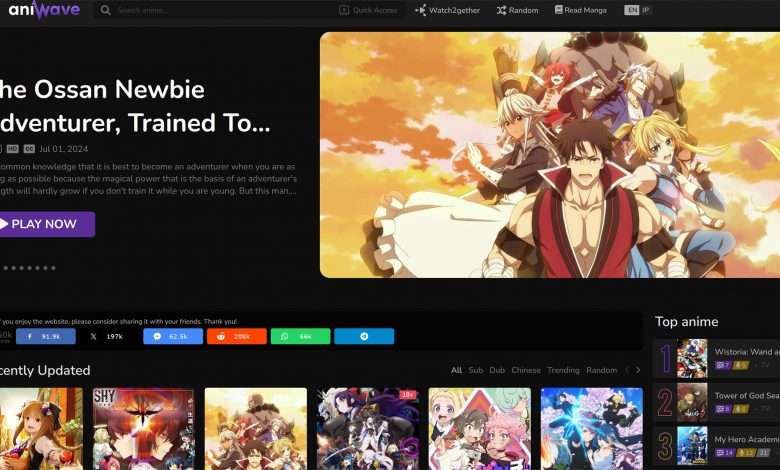 Site pirata anime Aniwave (9Anime) chega ao fim