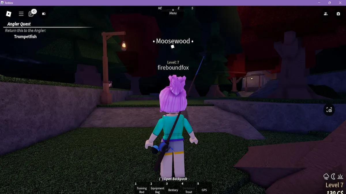 Visão depois de escalar as escadas em Moosewood em Fisch no Roblox.