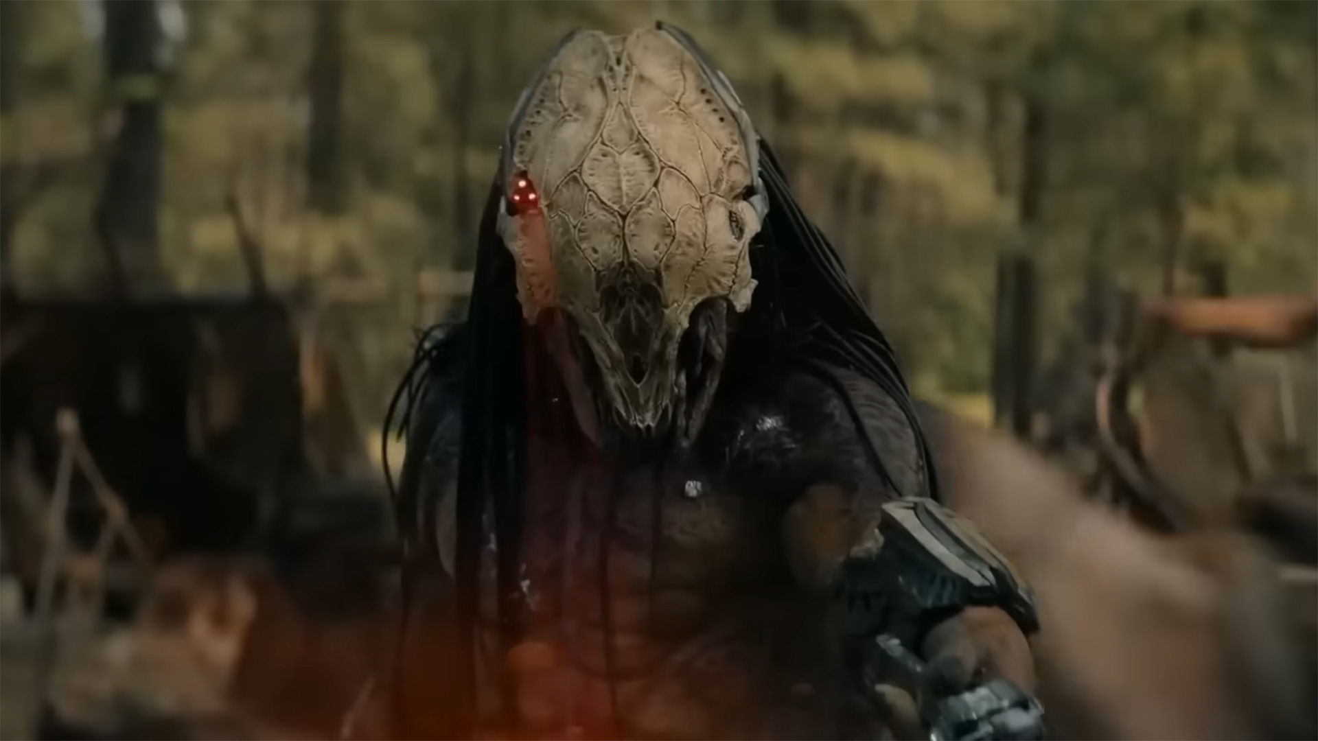 1730003471 Rumor Filme animado de Predator esta em producao