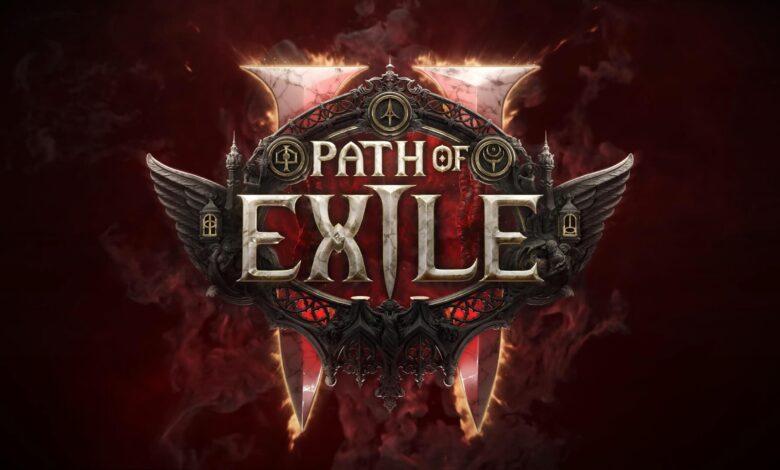 Elon Musk admits to cheating/account sharing in Path of Exile 2