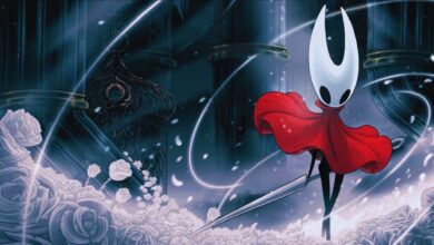 Team Cherry Gives Small Update On Hollow Knight: Silksong