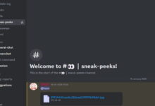 A Fruit Reborn Discord channel