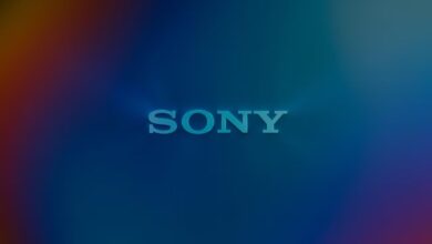 Sony Corp. announces major changes to its structure; Hermen Hulst is no longer CEO of SIE