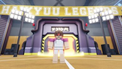 Ultimate Haikyuu Legends Beginner's Guide