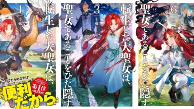 [Rumor]Tensei Shita Daiseijo – Isekai vencedor do "Melhores Novels" pode ter anuncio de anime