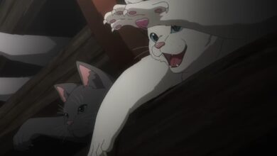 NIGHT OF THE LIVING CAT – Anime sobre apocalipse de gatos ganha trailer e previsão de estreia