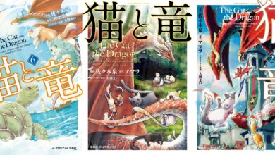 [Rumor]Neko to Ryuu – Mangá de Fantasia sobre Gata criando Dragão pode ter anuncio de anime