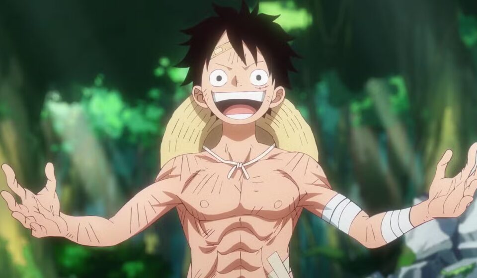 Observation Killing Luffy one piece