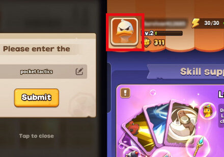 Duck Survival codes: An image of the code redemption box in Duck Survival.