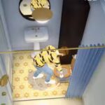 how to clean your home in paralives