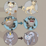 Pokemon Meowth: a bunch of cats in small circles