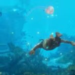 ac black flag resynced diving