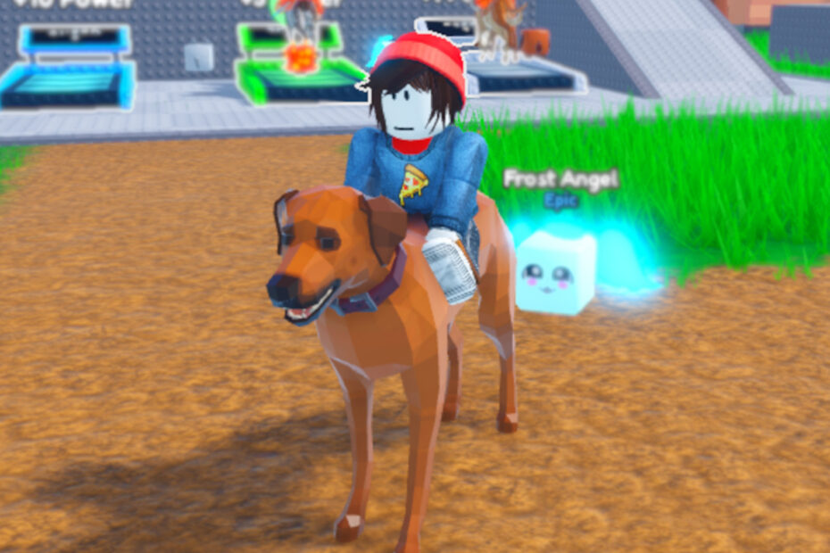 Dog Race codes July 2026