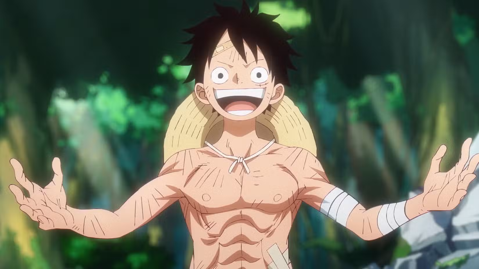 Observation Killing Luffy one piece