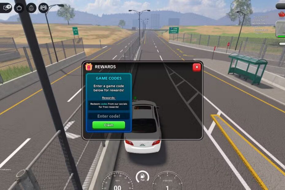 San Diego Border Roleplay the codes tab